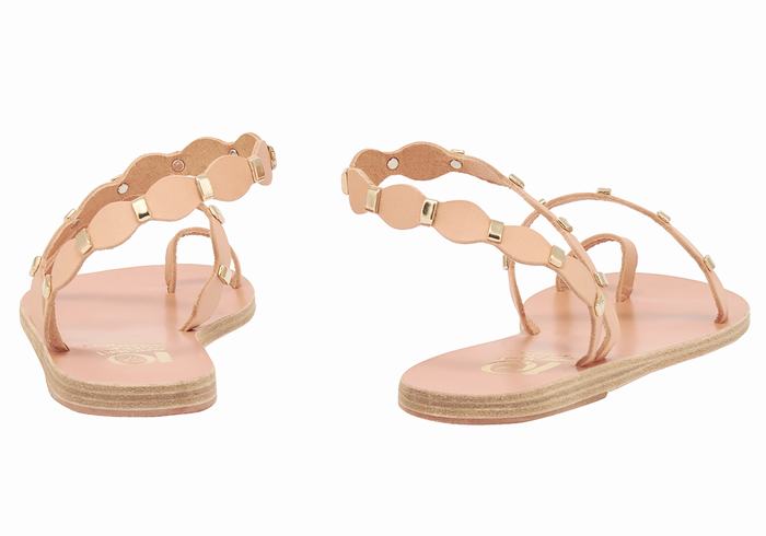 Sandali Con Puntale Ancient Greek Sandals Dauxerre Donna Beige Oro | OZA4364VN