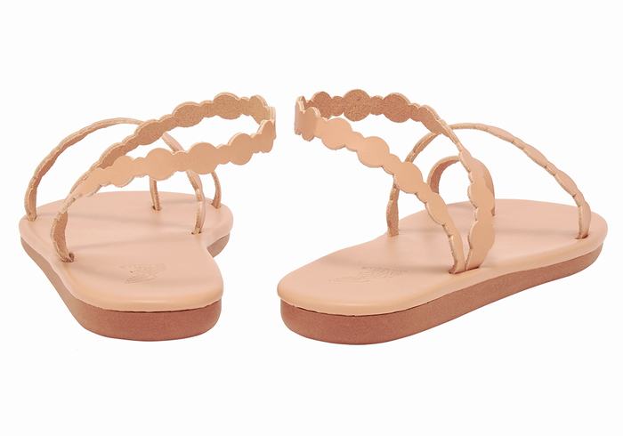 Sandali Con Puntale Ancient Greek Sandals Cronos Donna Beige | TNV167DN