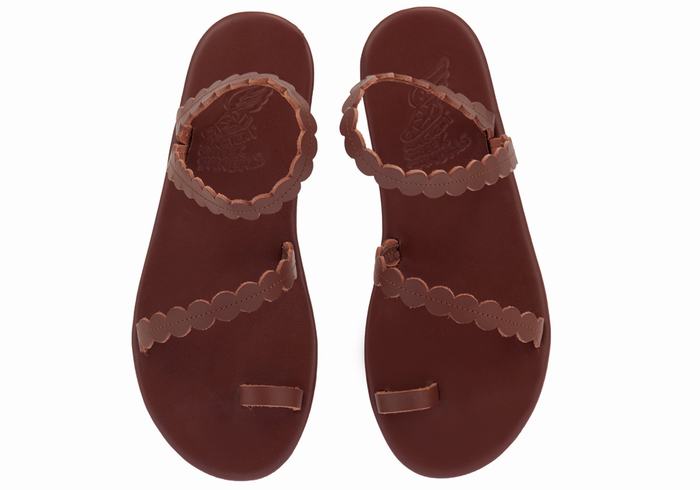 Sandali Con Puntale Ancient Greek Sandals Aura Donna Caffè | SLZ6022VX