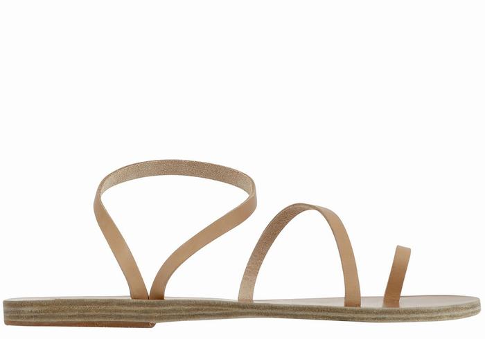 Sandali Con Puntale Ancient Greek Sandals Apli Eleftheria Leather Donna Beige | GWC1143FE