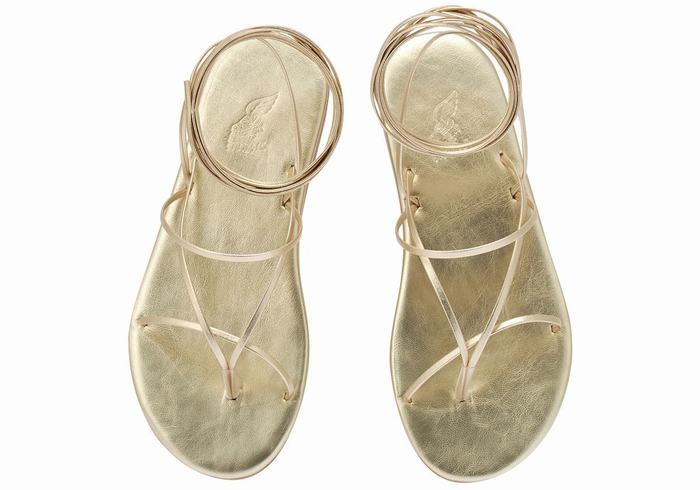 Sandali Da Gladiatore Ancient Greek Sandals String Donna Oro Bianche | GQV9948TN