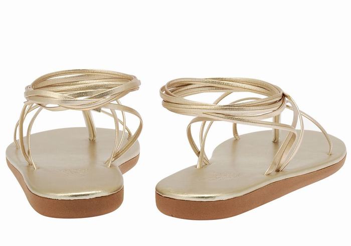 Sandali Da Gladiatore Ancient Greek Sandals String Donna Oro Bianche | GQV9948TN