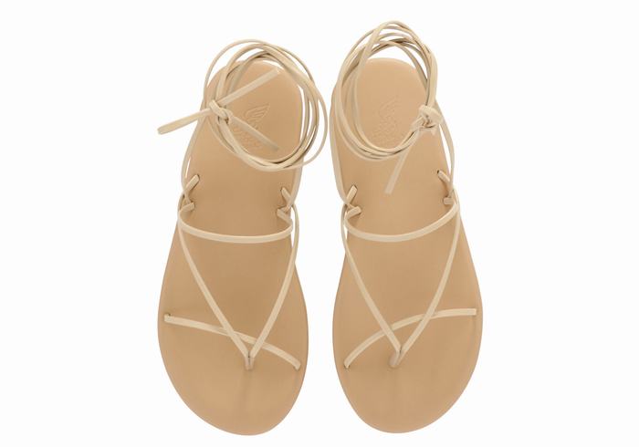 Sandali Da Gladiatore Ancient Greek Sandals String Donna Beige | QKY1285BI