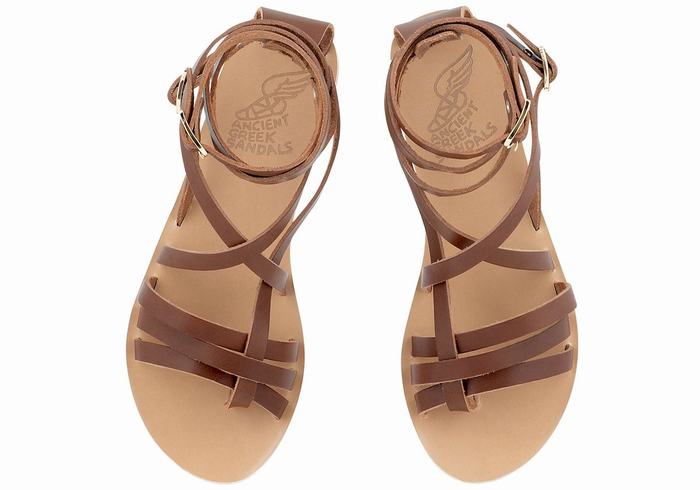 Sandali Da Gladiatore Ancient Greek Sandals Satira Leather Donna Marroni Scuro | ZME3070RH