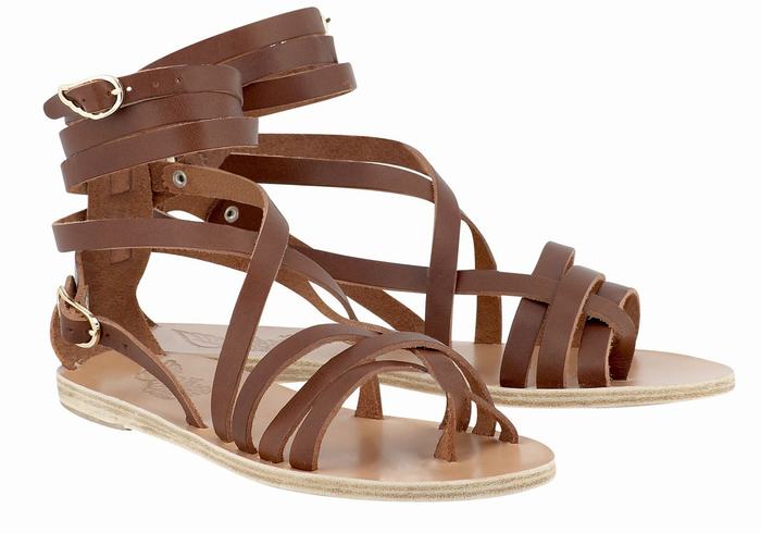 Sandali Da Gladiatore Ancient Greek Sandals Satira Leather Donna Marroni Scuro | ZME3070RH