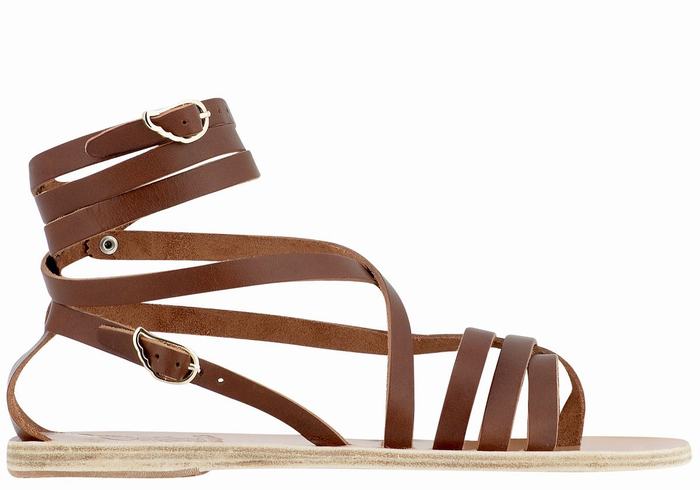 Sandali Da Gladiatore Ancient Greek Sandals Satira Leather Donna Marroni Scuro | ZME3070RH