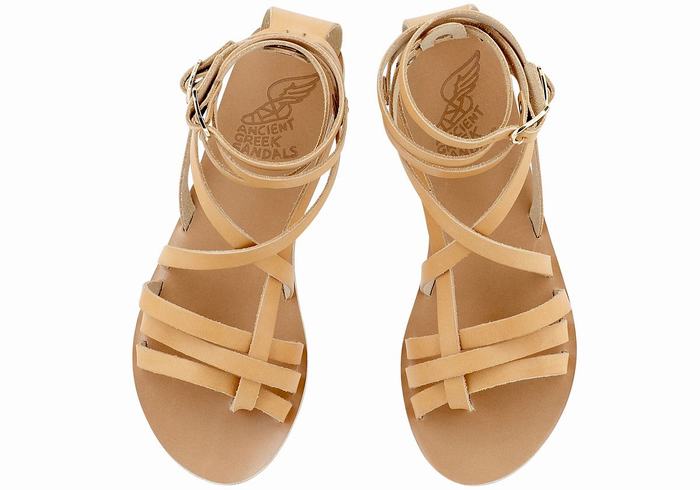 Sandali Da Gladiatore Ancient Greek Sandals Satira Leather Donna Beige | PWP8498WN