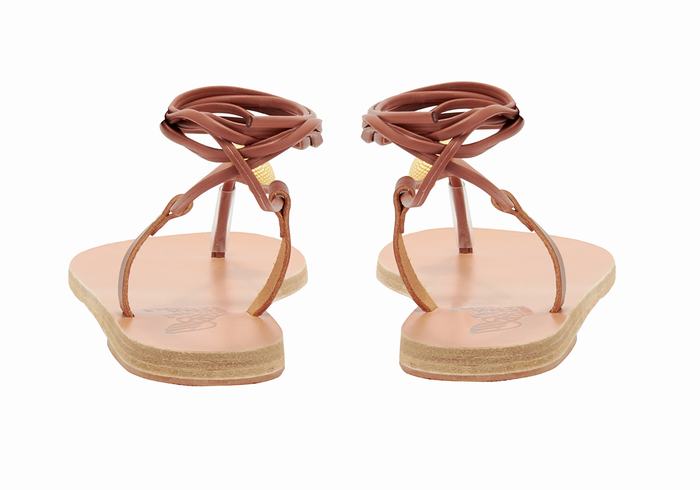 Sandali Da Gladiatore Ancient Greek Sandals Persephone Donna Rosse | FNQ3370NG