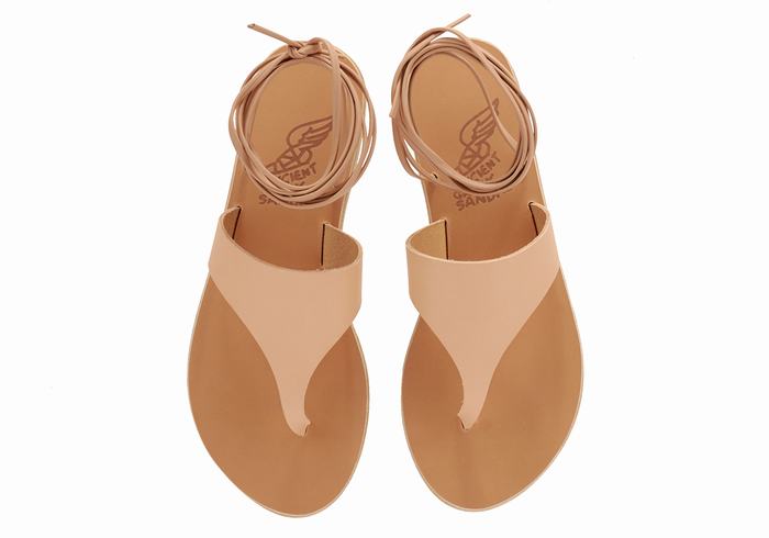 Sandali Da Gladiatore Ancient Greek Sandals Nychta Leather Donna Beige | JVF9721HL