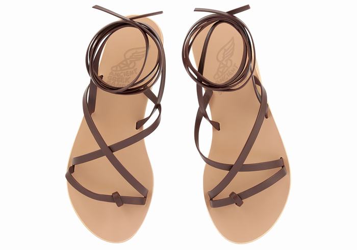 Sandali Da Gladiatore Ancient Greek Sandals Morfi Leather Donna Caffè | IJE863CF