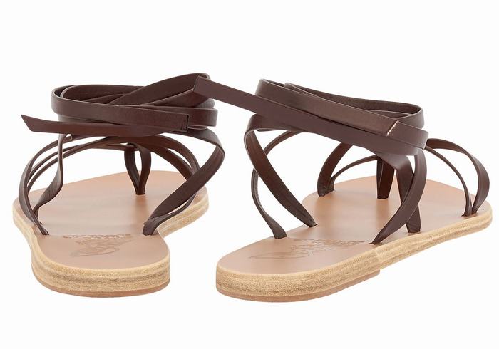 Sandali Da Gladiatore Ancient Greek Sandals Morfi Leather Donna Caffè | IJE863CF