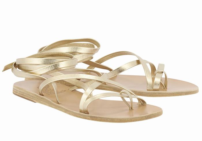 Sandali Da Gladiatore Ancient Greek Sandals Morfi Leather Donna Oro Bianche | MAQ1914ML