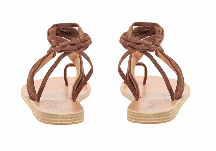 Sandali Da Gladiatore Ancient Greek Sandals Kerasia Donna Caffè | UMX984ZR