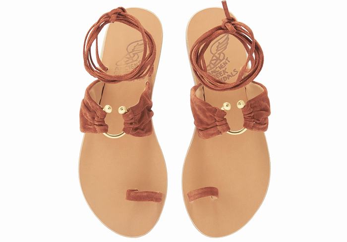 Sandali Da Gladiatore Ancient Greek Sandals Kerasia Donna Caffè | WYP7364FU