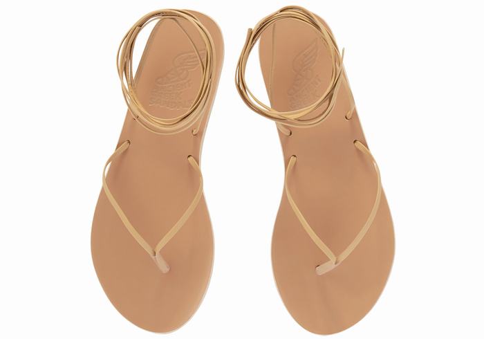 Sandali Da Gladiatore Ancient Greek Sandals Celia Donna Beige | KKM3077VS