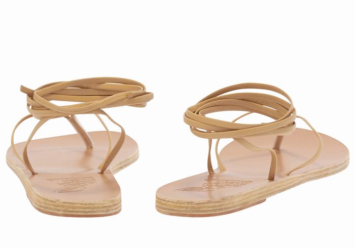 Sandali Da Gladiatore Ancient Greek Sandals Celia Donna Beige | KKM3077VS