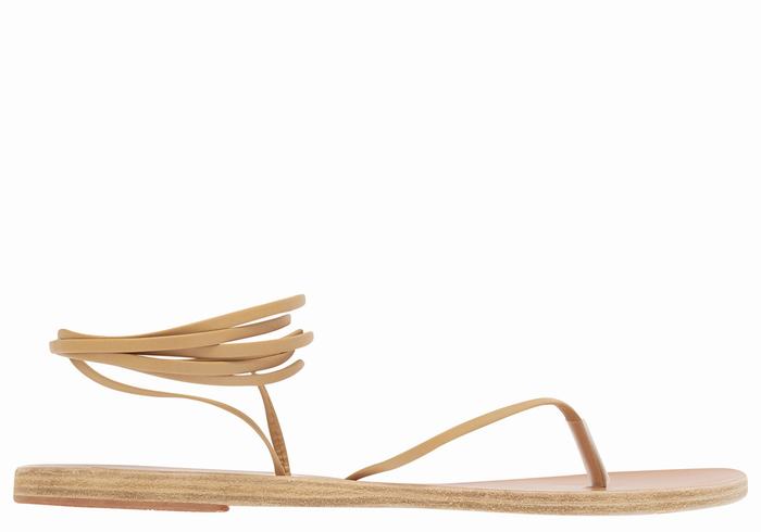 Sandali Da Gladiatore Ancient Greek Sandals Celia Donna Beige | KKM3077VS