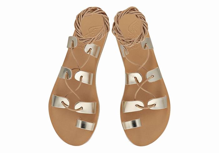 Sandali Da Gladiatore Ancient Greek Sandals Alcyone Leather Donna Oro Bianche | PGU3626MC