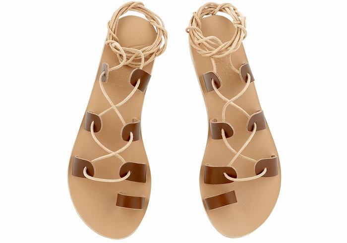 Sandali Da Gladiatore Ancient Greek Sandals Alcyone Leather Donna Marroni Scuro | TEE6166VC