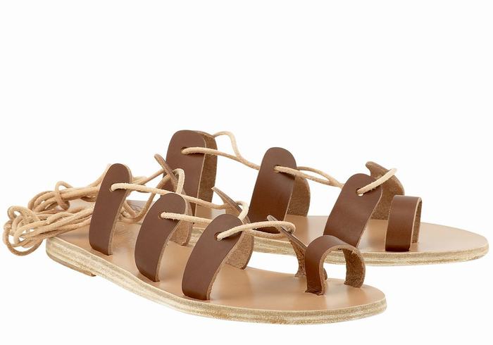 Sandali Da Gladiatore Ancient Greek Sandals Alcyone Leather Donna Marroni Scuro | TEE6166VC