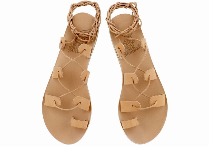 Sandali Da Gladiatore Ancient Greek Sandals Alcyone Leather Donna Beige | WAC207XT