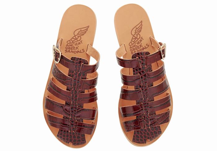 Sandali Pescatore Ancient Greek Sandals Cosmia Donna Rosse Scuro Nere | MGM976IW