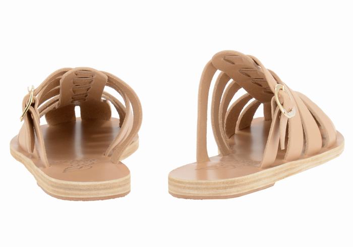 Sandali Pescatore Ancient Greek Sandals Cosmia Donna Beige | EYX4431VK