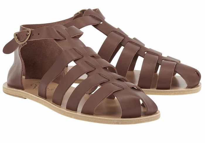 Sandali Pescatore Ancient Greek Sandals Homer Leather Uomo Caffè | MCX5957FQ