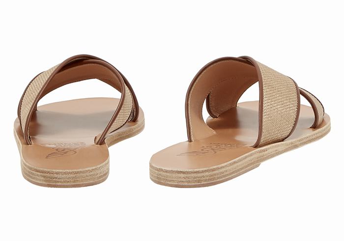 Sandali Scorrevoli Ancient Greek Sandals Thais Donna Beige Marroni | UQU7272PA