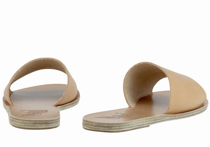 Sandali Scorrevoli Ancient Greek Sandals Taygete Donna Beige | UFP6223QB