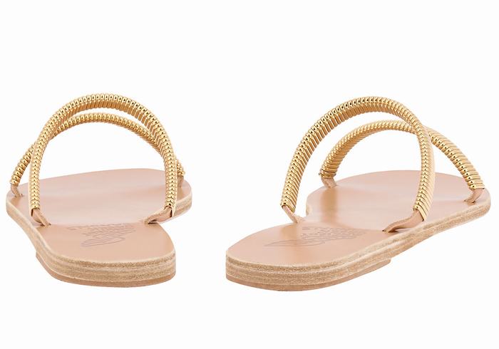 Sandali Scorrevoli Ancient Greek Sandals Saita Donna Oro Beige | JKH995RN