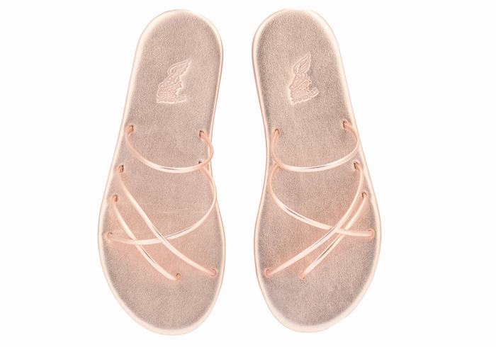 Sandali Scorrevoli Ancient Greek Sandals Pu Donna Rosa Oro | JDU6029OQ