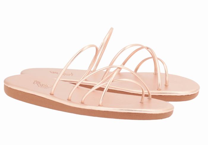 Sandali Scorrevoli Ancient Greek Sandals Pu Donna Rosa Oro | JDU6029OQ