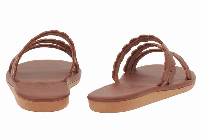 Sandali Scorrevoli Ancient Greek Sandals Oceanis Donna Caffè | DYK8557MW