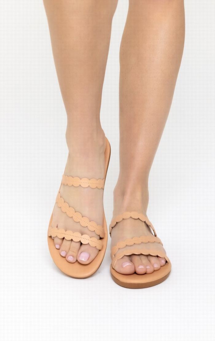 Sandali Scorrevoli Ancient Greek Sandals Oceanis Donna Beige | JYU8954NS