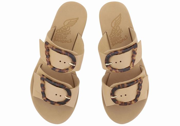 Sandali Scorrevoli Ancient Greek Sandals Iaso Donna Beige | GLU7498VB