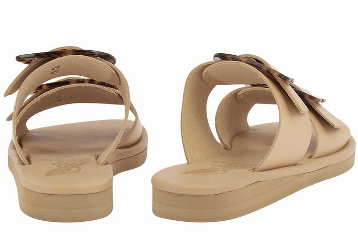 Sandali Scorrevoli Ancient Greek Sandals Iaso Donna Beige | GLU7498VB