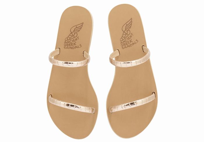 Sandali Scorrevoli Ancient Greek Sandals Echidna Donna Rosa Oro | BQQ908VX