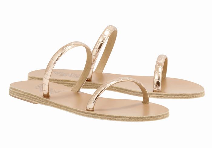 Sandali Scorrevoli Ancient Greek Sandals Echidna Donna Rosa Oro | BQQ908VX