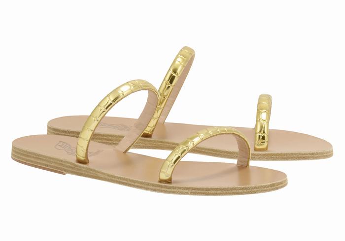 Sandali Scorrevoli Ancient Greek Sandals Echidna Donna Oro | UXI765CM