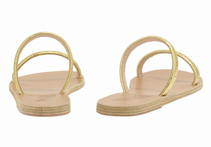 Sandali Scorrevoli Ancient Greek Sandals Echidna Donna Oro | UXI765CM