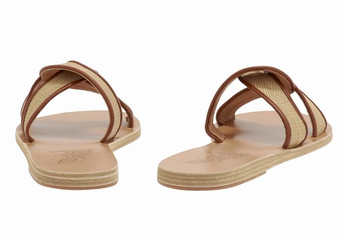 Sandali Scorrevoli Ancient Greek Sandals Desmos Donna Beige Marroni | LGU6318TI