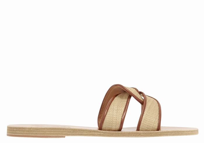 Sandali Scorrevoli Ancient Greek Sandals Desmos Donna Beige Marroni | LGU6318TI