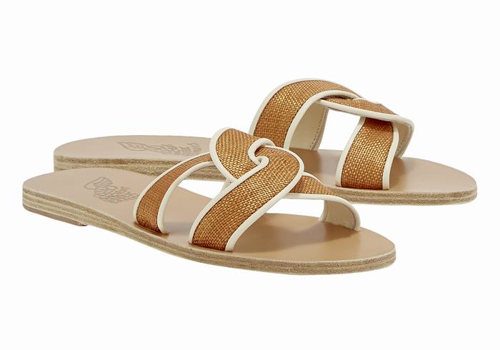 Sandali Scorrevoli Ancient Greek Sandals Desmos Donna Marroni Bianche | NIA8569OK