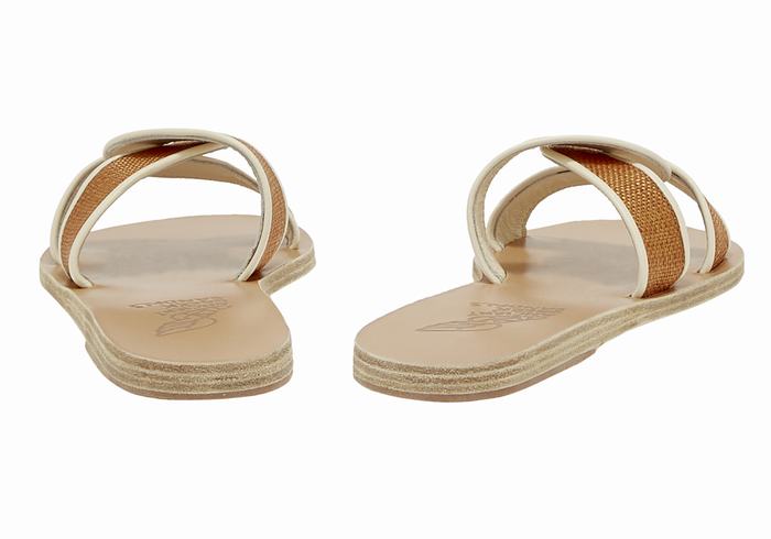 Sandali Scorrevoli Ancient Greek Sandals Desmos Donna Marroni Bianche | NIA8569OK