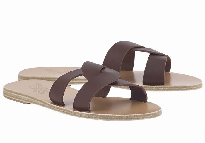 Sandali Scorrevoli Ancient Greek Sandals Desmos Donna Caffè | HFQ8659IU