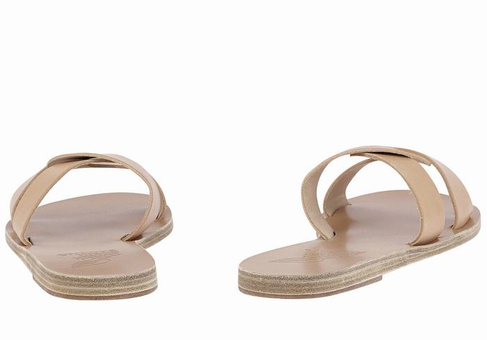 Sandali Scorrevoli Ancient Greek Sandals Desmos Donna Beige | FBZ284TJ