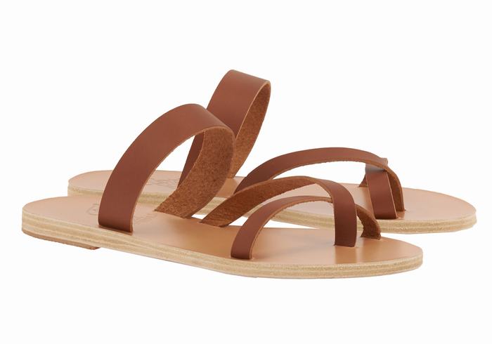 Sandali Scorrevoli Ancient Greek Sandals Daphnae Leather Donna Marroni Scuro | WHV417YA