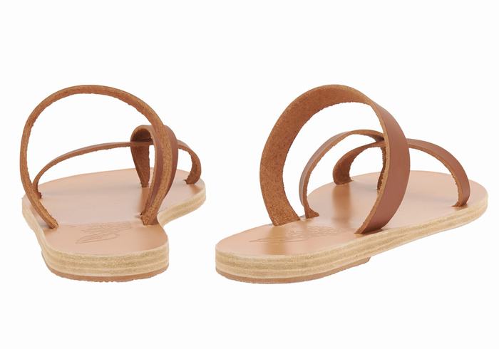 Sandali Scorrevoli Ancient Greek Sandals Daphnae Leather Donna Marroni Scuro | WHV417YA