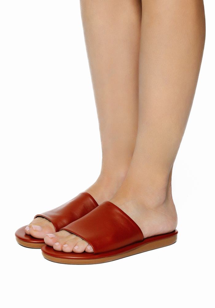 Sandali Scorrevoli Ancient Greek Sandals Cerastes Donna Marroni Scuro | LBF816ZX